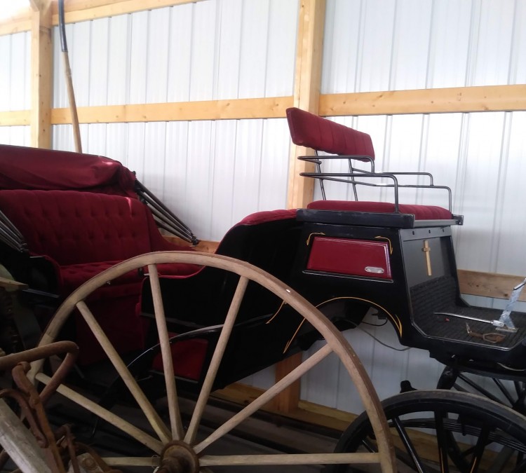 Horse and Buggy Museum (Biggsville,&nbspIL)